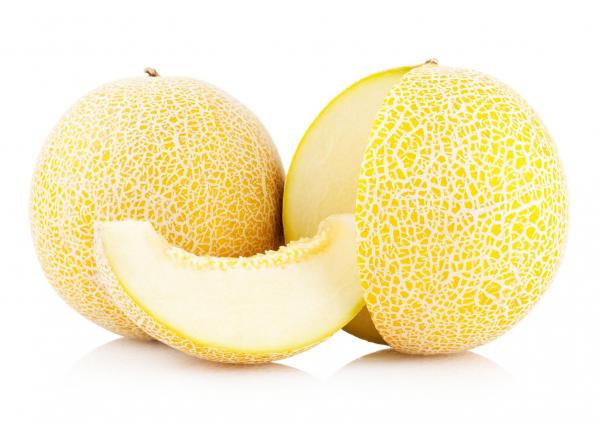 Tropical Melon | Galiamelone | Früchtetee mild